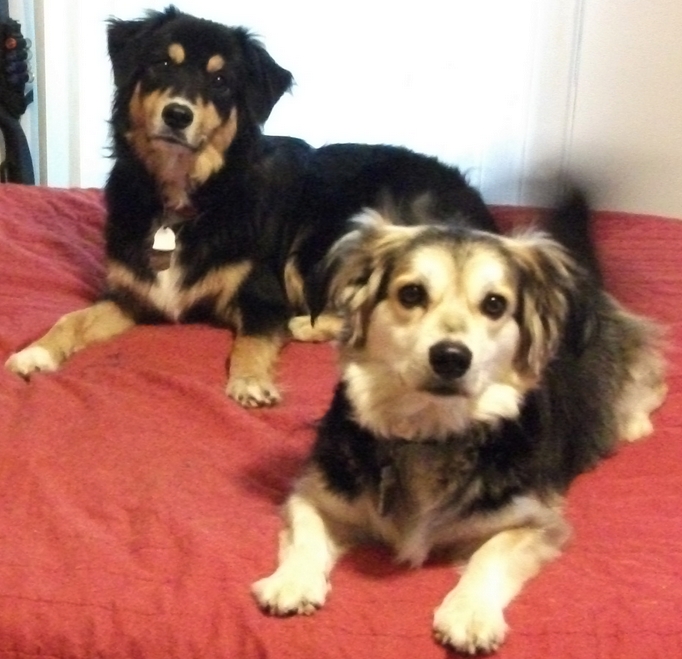 Rocky & Bailey - September 2015